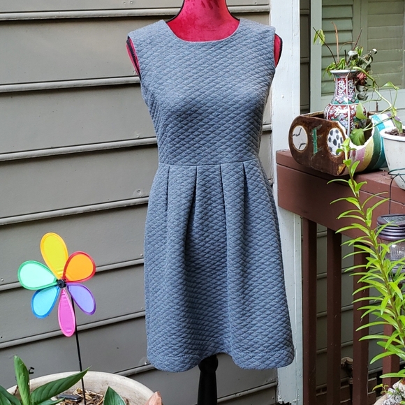 LOFT Dresses & Skirts - Loft Gray Fit And Flare Dress Size 2P